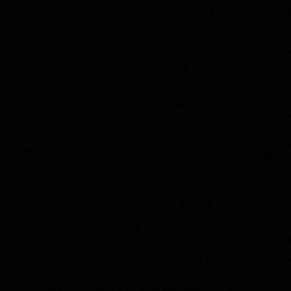 Meet your Posher, Alaina - Picture 1 of 1